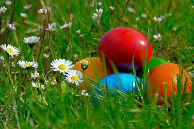 Bild bunte Ostereier im grünen Gras