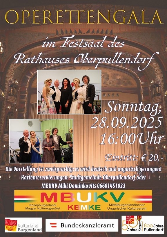 [Translate to Ungarisch:] Plakat mit Termin und Details und Illustrationen