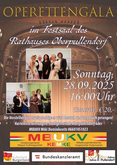 [Translate to Ungarisch:] Plakat mit Termin und Details und Illustrationen