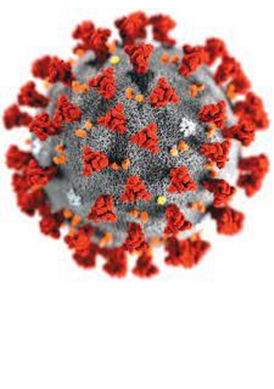 Covid Virus